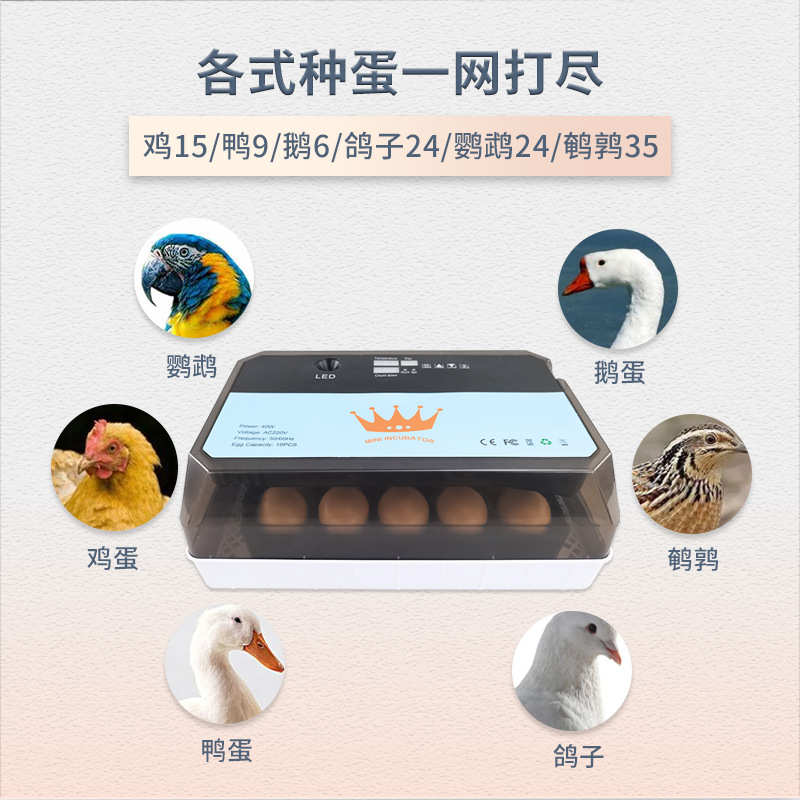 15枚孵化机全自动小鸡孵化器 家用迷你鸡鸭鹅鸟通用孵化箱/孵蛋器