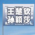 新款【莎头组合】王楚钦孙颖莎应援大旗乒乓球比赛运动会球迷定制