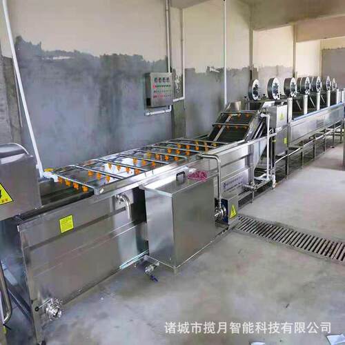 韭菜菠菜气泡清洗机 果蔬清洗流水线 商用涡流洗菜机