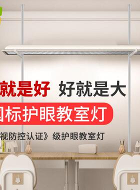 新国标LED教室灯4000k全光谱落地立式护眼儿童学习专用平替大路灯