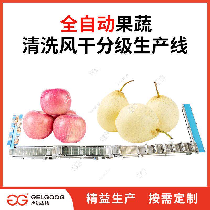 梨子大枣洗果选果机械厂家 桃子清洗风干分级机器 苹果清洗设备