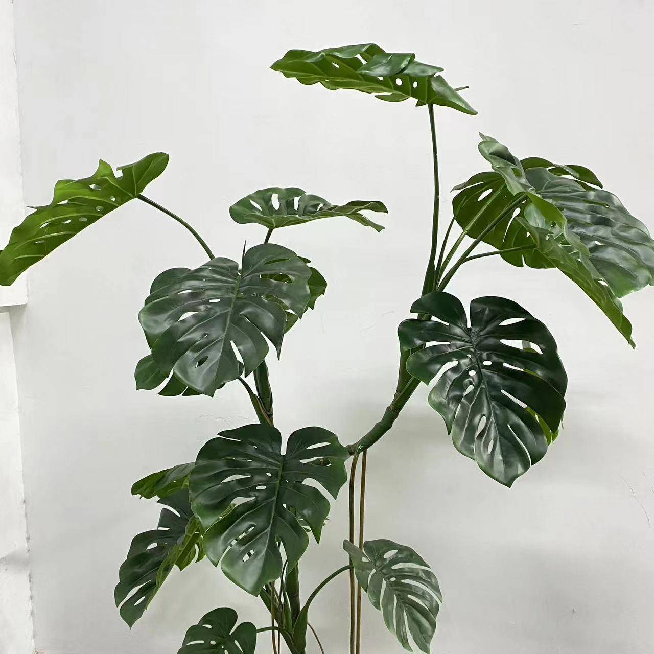 仿12000796真型龟背热造雨林风格大叶片绿植龟背景推荐款老桩巨龟
