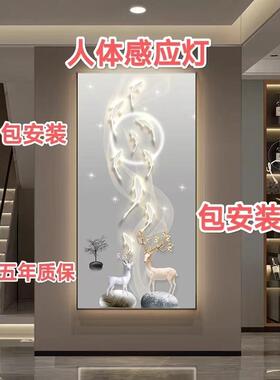 九鱼玄关LED灯人体感应星空麋鹿装饰画 画高端挂画 画现代走廊走