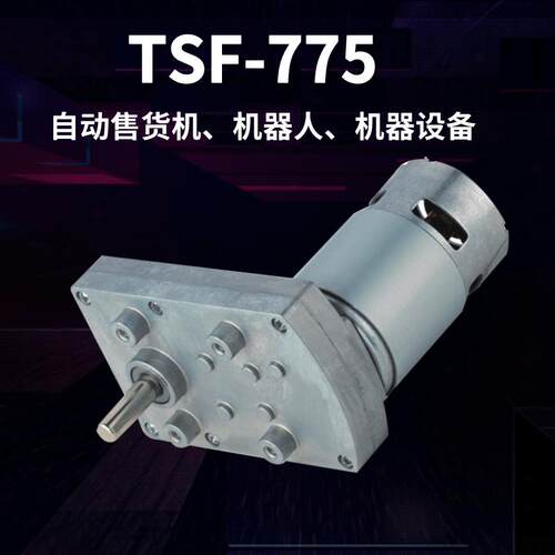 TT-775方形直流减速电机 蠕动泵用微型有刷电机7字头减速马达