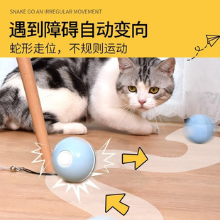 猫玩具自嗨解闷神器电动逗猫球充电滚动球幼小猫咪玩具自动逗猫棒