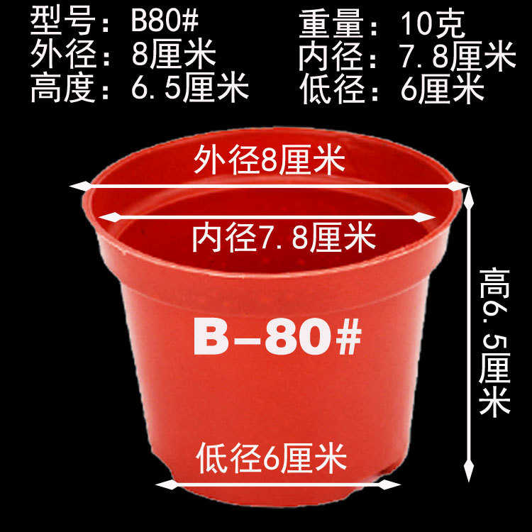 b基地营养圆直供植价育苗花卉塑料盆绿钵型杯花盆肉厂网状多花苗