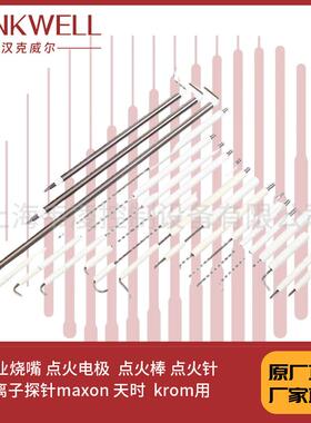 工业烧嘴 点火电极 点火棒 点火针 离子探针maxon 天时 krom用