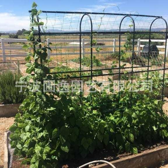 户外攀爬植物花园支架黄瓜丝瓜种植爬藤U型架子蔬菜生长爬藤架