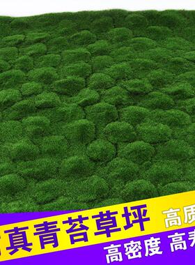 彷真绿色植物墙青苔藓草皮人工草坪橱窗微景观绿色植物造景假苔藓
