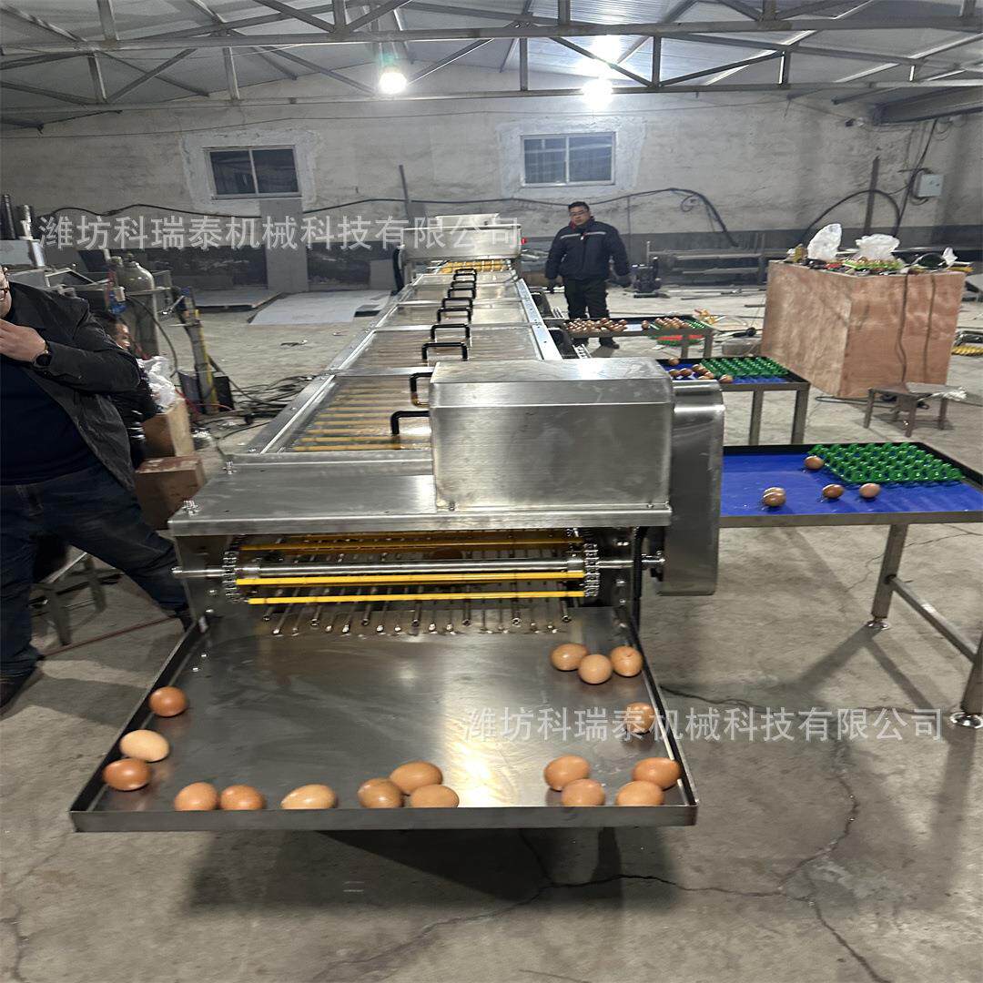 商用鸡蛋蛋分级机蛋品电子分级机鸭蛋分选设备