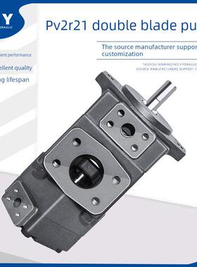 仙居永灵液压双叶片泵Pv2R21/1/31/32油泵总成液压系统泵头配件