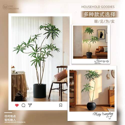 中古风仿真绿植孔雀木客厅阳台装饰摆件大型假树盆栽室内植物盆栽