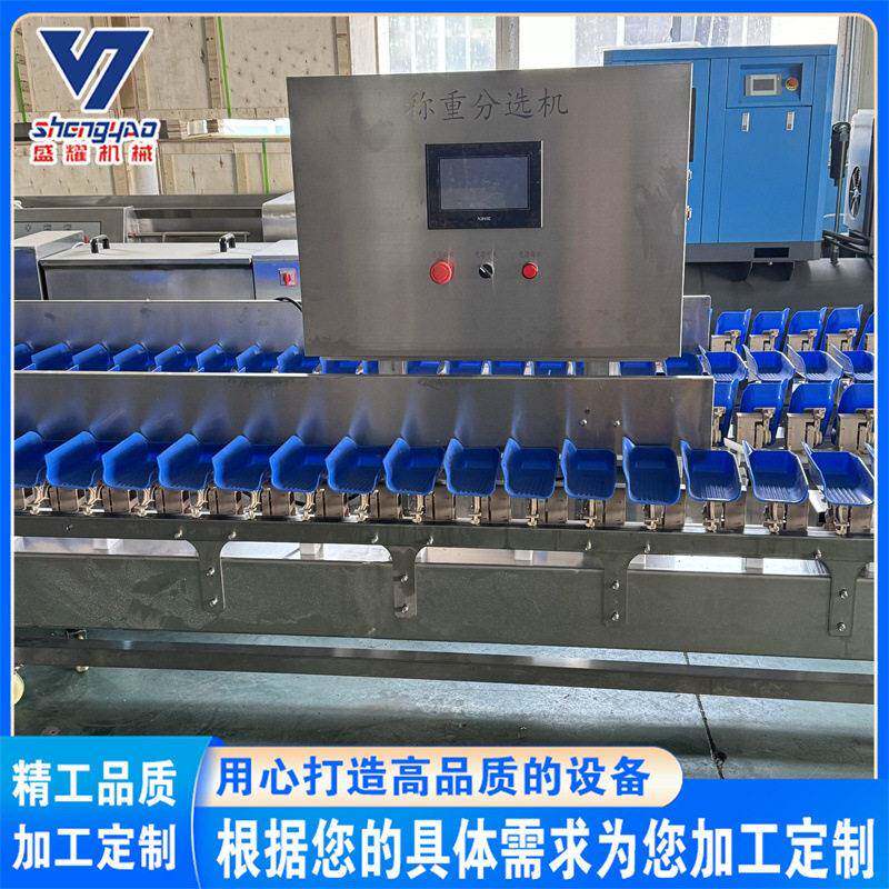 鱿鱼串重量分选机 全自动鱿鱼仔多级称重机 大樱桃重量分级机盛耀