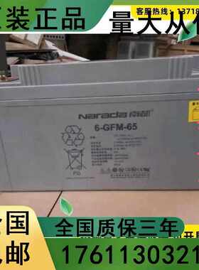 蓄电池6-GFM-65 12V65AH 铅酸免维护UPS机房应急照明直流屏