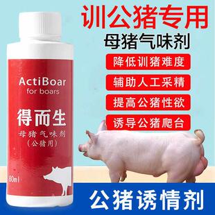 训公猪专用母猪气味剂公猪诱情剂调教后备公猪采精爬假母猪台上架