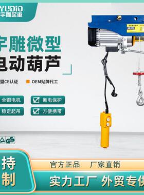 宇雕微型电动葫芦小吊运机220V家用吊装修上料小型提升机电动葫芦