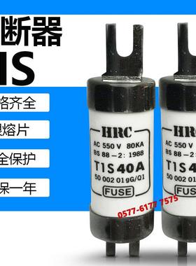 HRC熔断器RG2 TIS 50A 60A 63A 80A 100A 500V 550V保险丝管660V