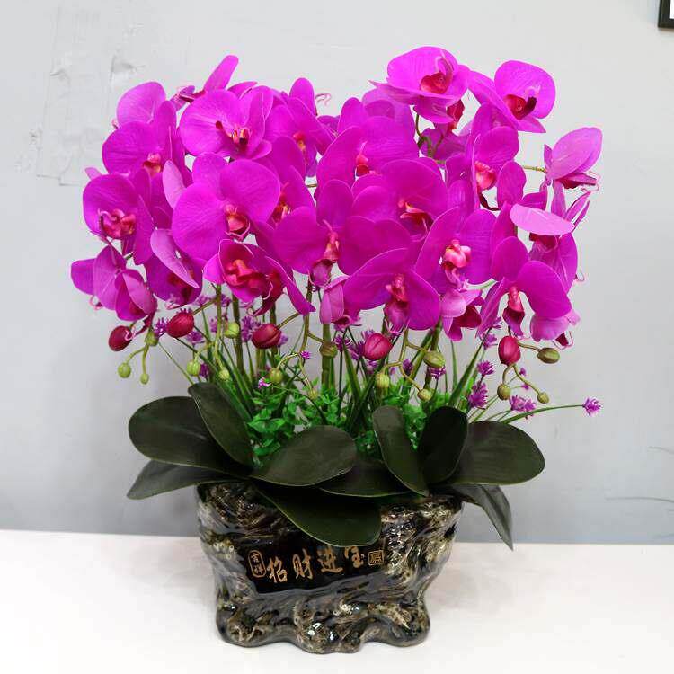 仿真花手感PU蝴蝶兰盆景室内客厅装饰摆件餐厅茶几电视柜摆设假花