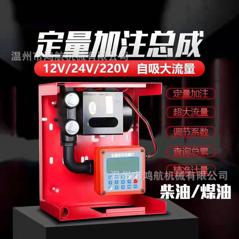 12V大功率定量加油机220V抽油泵加注机总成24V便携柴油汽油加油泵