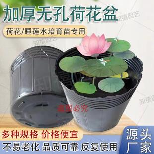 荷花盆无孔营养钵加厚塑料睡莲不漏水荷花盆碗莲盆荷花营养杯育苗