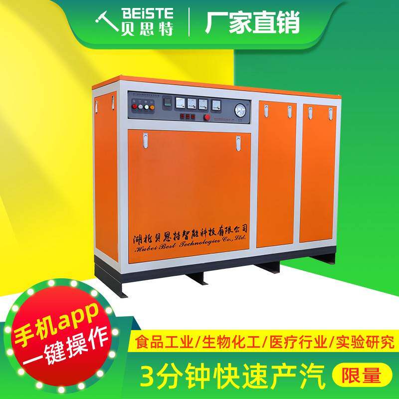 电加热蒸汽发生器贝思特厂家生物化工橡胶塑化集中供暖用免报检