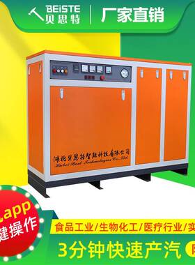 电加热蒸汽发生器厂家生物化工橡胶塑化集中供暖用免报检