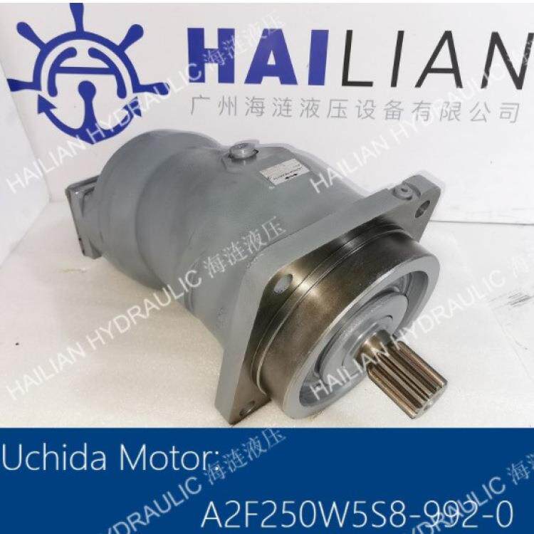 A2F250W5S8-992-0 hydraulic pump for deck crane 液压泵