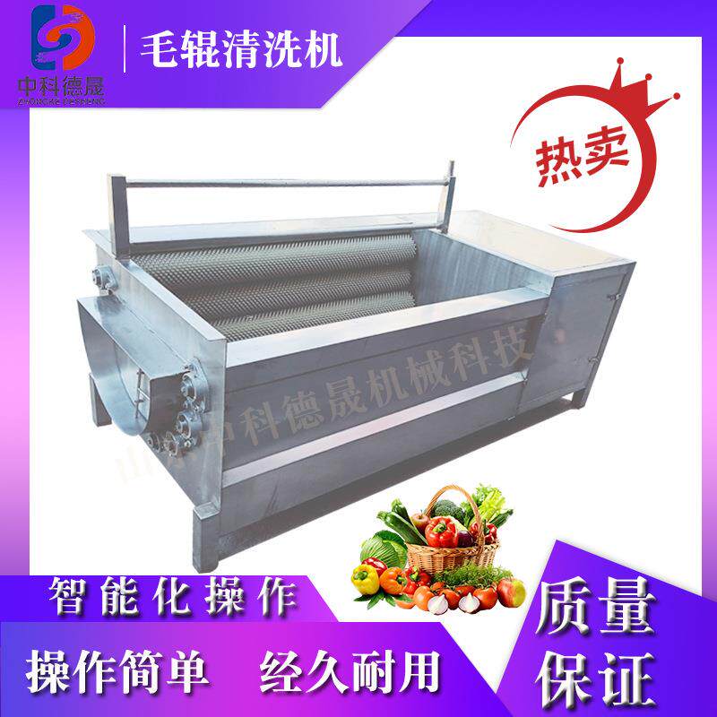 陕西人参四叶参毛刷清洗设备价格中药材沙参全自动毛辊清洗机厂家