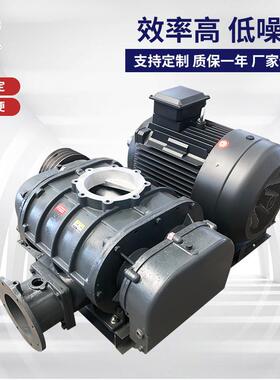 75KW罗茨风机 灰斗罗茨式气化风机 AAR150双油箱罗茨风机节能