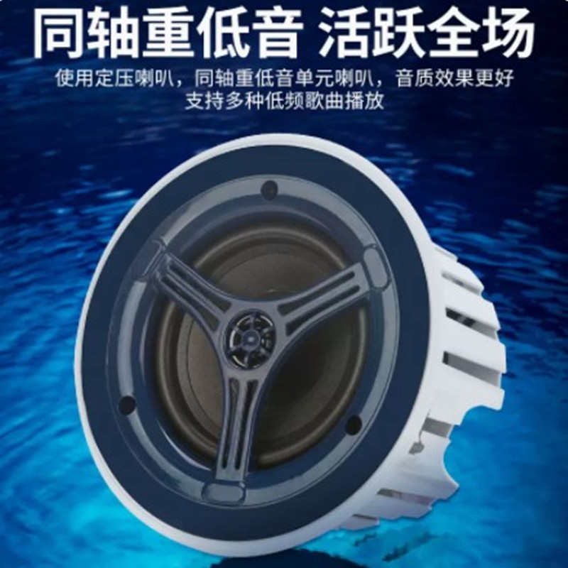 德国柏林之声音效蓝牙吸顶音响店铺商用环绕嵌入式喇叭无线智能