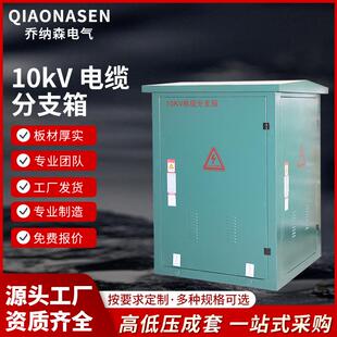 630一进二三四出分接箱 10KV高压欧式 电缆分支箱DFW