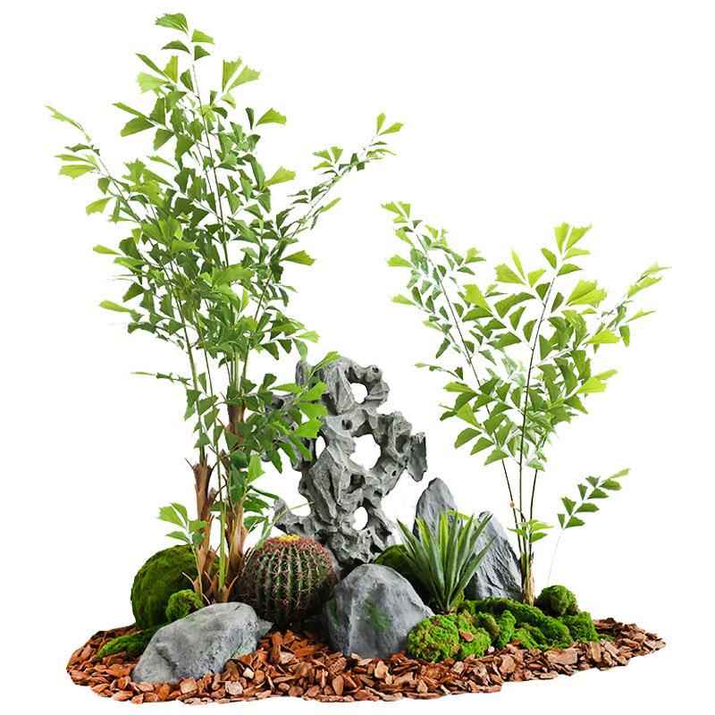 仿真树鱼尾落葵窗树散尾葵绿野外露营植PBL地盆栽假树橱造景摆件