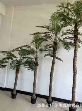 仿真接丽针葵小扇葵树塑胶树杆套老人葵美网红葵JM0325大型绿植盆
