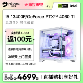 名龙堂i513400frtx30604060ti4070s电脑，主机吃鸡游戏diy组装机全套电竞直播水冷台式机整机兼容机