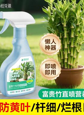 富贵竹水培营养液花卉绿植室内盆栽水培观音竹文竹迷你盆栽水溶肥