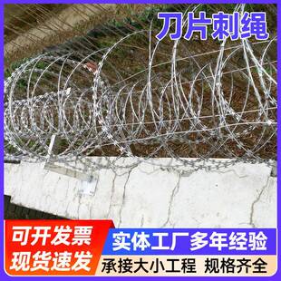 刀片刺绳学校围墙刺丝滚笼热镀锌包塑刺绳网铁丝网防护网带刺