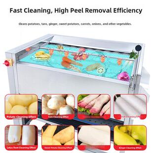莲藕全自动不锈钢刷去皮机 芋头 马铃薯去皮机商用清洗姜 红薯