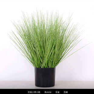简约盆景植装饰北欧客厅绿家居盆栽狗尾巴草仿真芦苇干花装饰橱窗