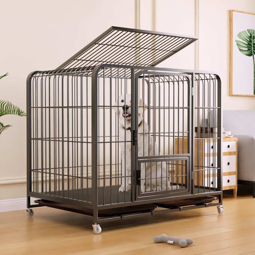 厕所大型犬中型笼子带金加粗犬宠物狗狗拉布拉多牧笼室内外毛边