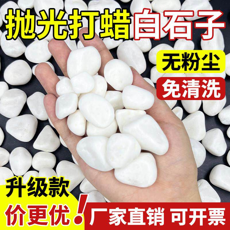白色鹅卵石造景天然砾石颗粒装饰花园小石头抛光暖庭院白石子铺地