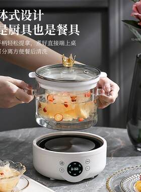 高硼硅玻璃养生壶多功能电炖锅迷你燕窝机隔水炖盅煲汤煮粥锅礼品