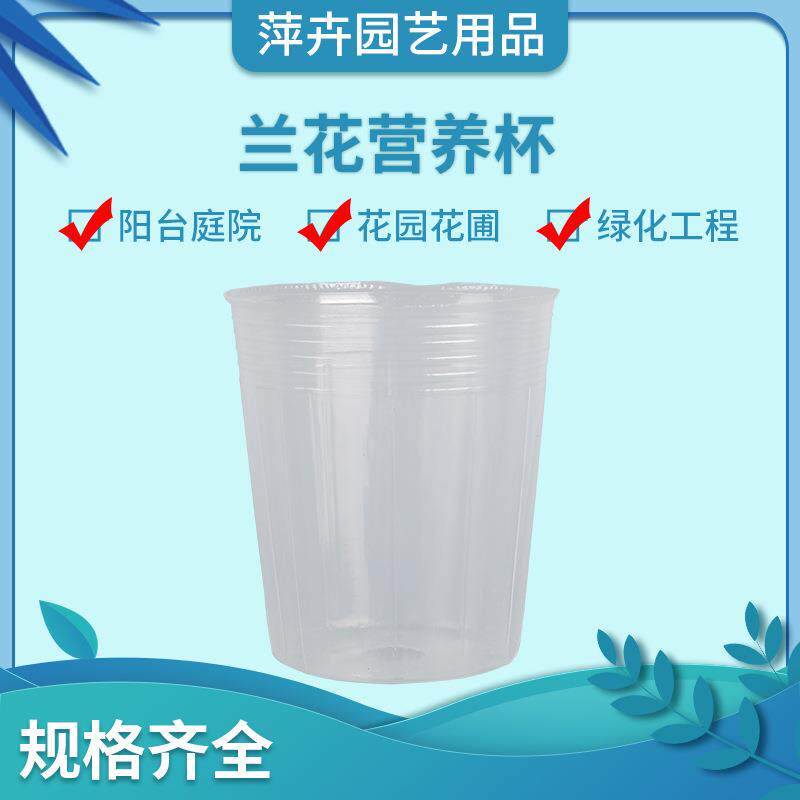 蝴蝶兰兰花用营养钵营养杯透明育苗盆花盆一次性移植兰花透明营养