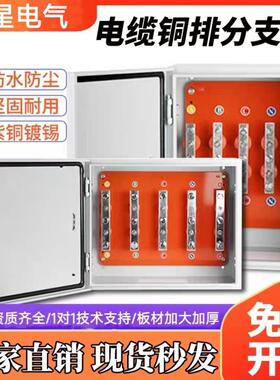 电缆T接箱JXT1接线 线端子箱低压大电流转接分线 线箱T型铜排分支