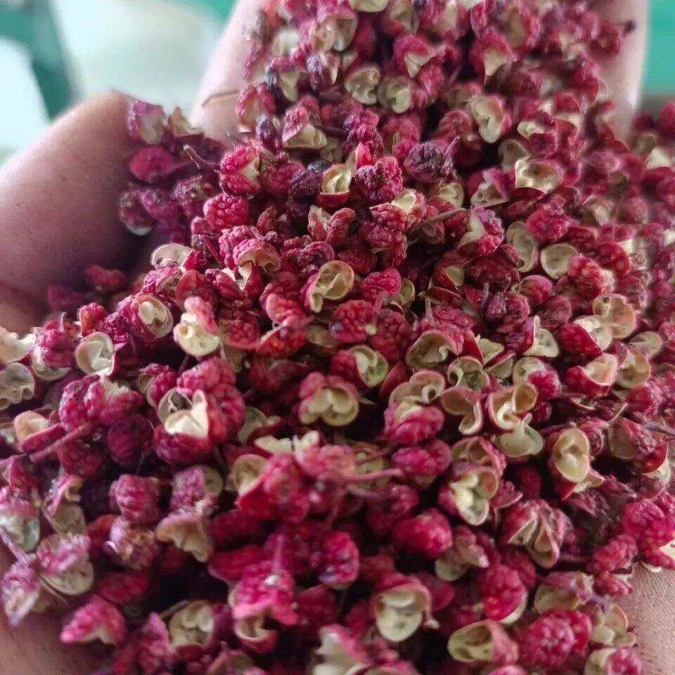 花椒甘肃陇南武都无籽花椒特麻一级甘肃陇南武都大红袍花椒直发