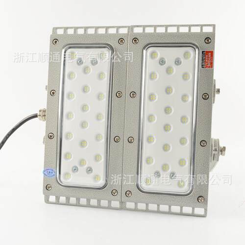 免维护LE防D爆灯100W00W库厂房化2工车RVV间加油站隧道工仓业照明