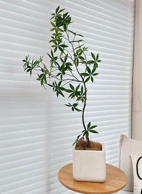 楼夏家彷真绿色植物盆栽发财树高端彷生室内桌面装饰摆饰彷真假植