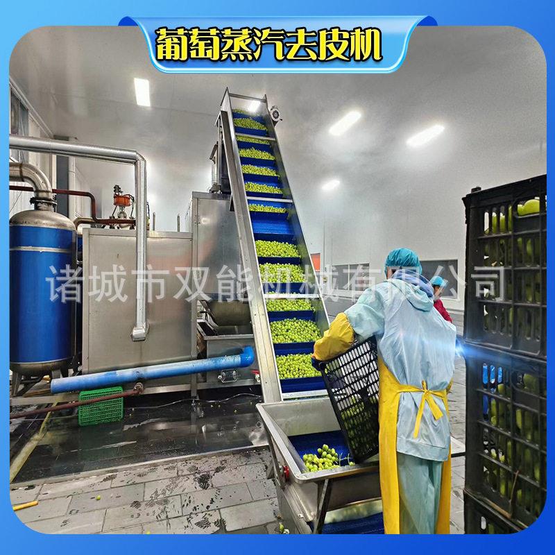 食品级葡萄去皮机无剂物理剥离易清洁产能支持定制化需求