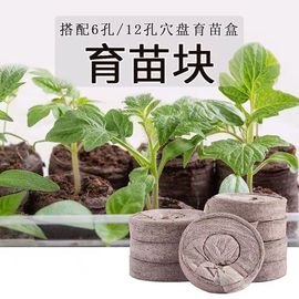 育苗块压缩椰糠块通用培养型花草，种子播种营养基质土扦插介质