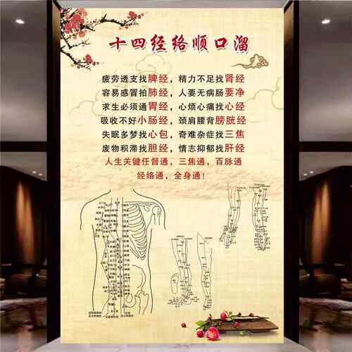 养生馆装饰画十四经络顺口溜宣传画中医养生挂图十四经络顺口海报