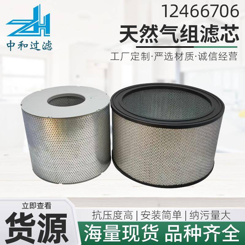 1246670612466707沼气天然气发电机组滤芯